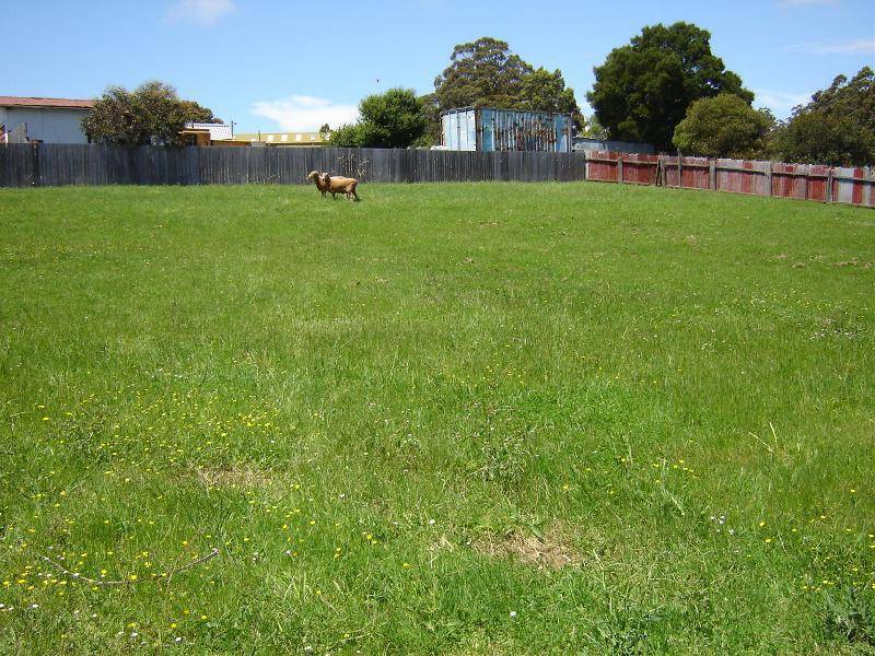 11 Forth Road, Don TAS 7310