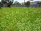 11 Forth Road, Don TAS 7310