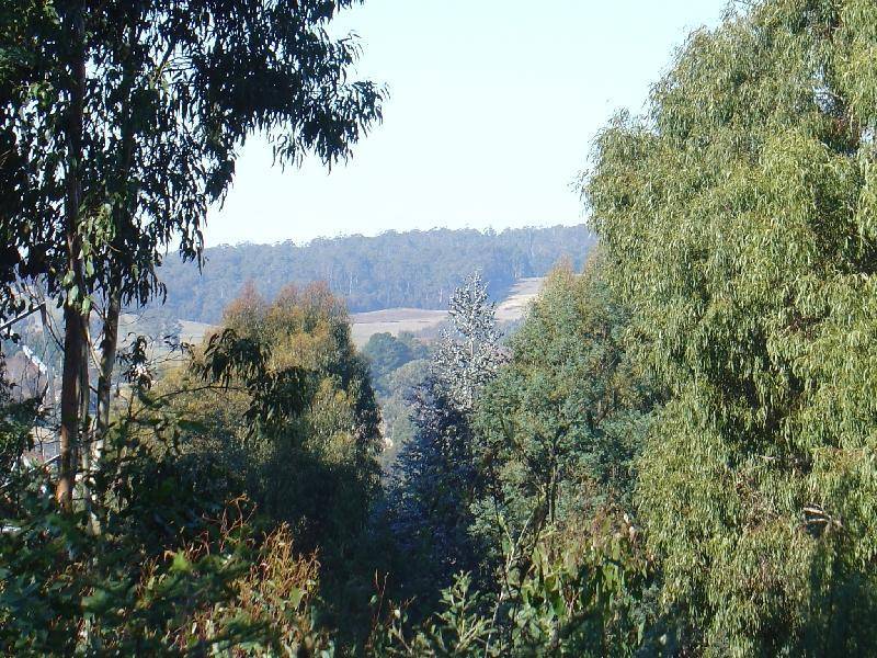 3 Hillwood Rise, Spreyton TAS 7310