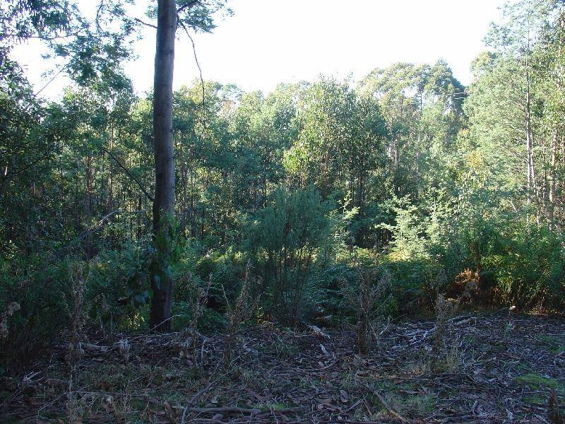 3 Hillwood Rise, Spreyton TAS 7310