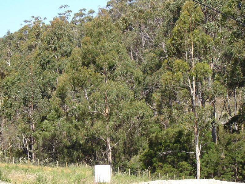 73 Tugrah Road, Devonport TAS 7310