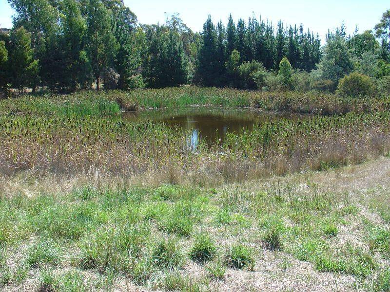 25 Barnes Road, Spreyton TAS 7310