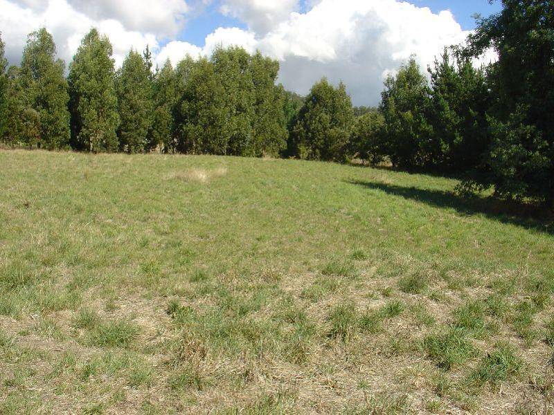 25 Barnes Road, Spreyton TAS 7310