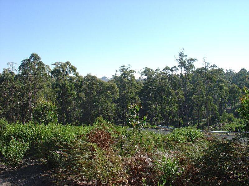 10 Woodland Grove, Tugrah TAS 7310