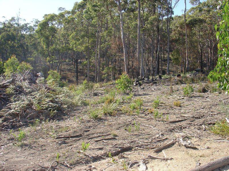 10 Woodland Grove, Tugrah TAS 7310