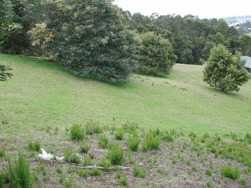 60 Laycock Road, Spreyton TAS 7310