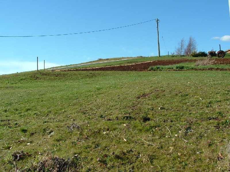 2 Landon Place, Sheffield TAS 7306