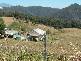 39 Devils Gate Road, Barrington TAS 7306