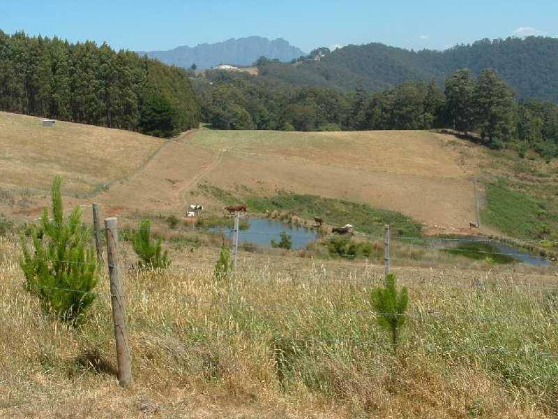 39 Devils Gate Road, Barrington TAS 7306