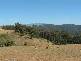 39 Devils Gate Road, Barrington TAS 7306