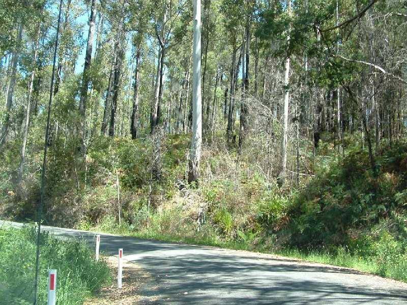 Lot 1 West Kentish Road, West Kentish TAS 7306