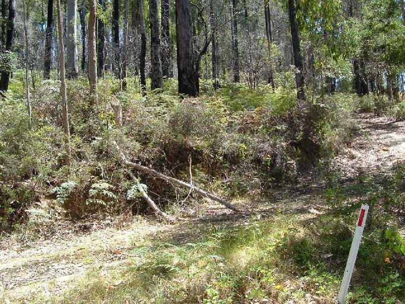 Lot 1 West Kentish Road, West Kentish TAS 7306