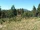 173 No Where Else Road, Barrington TAS 7306