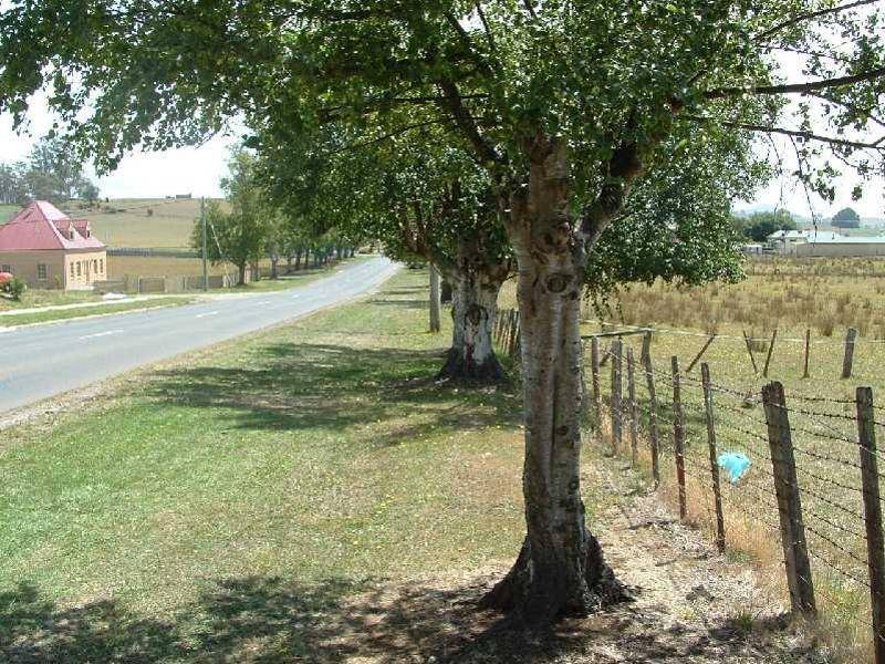 17 Main Street, Sheffield TAS 7306