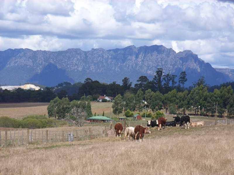 119 Moreys Road, Barrington TAS 7306