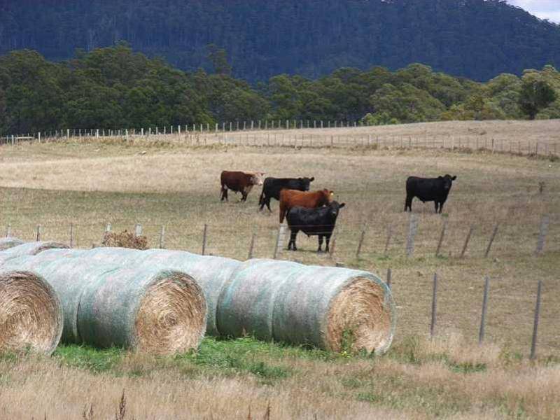 119 Moreys Road, Barrington TAS 7306