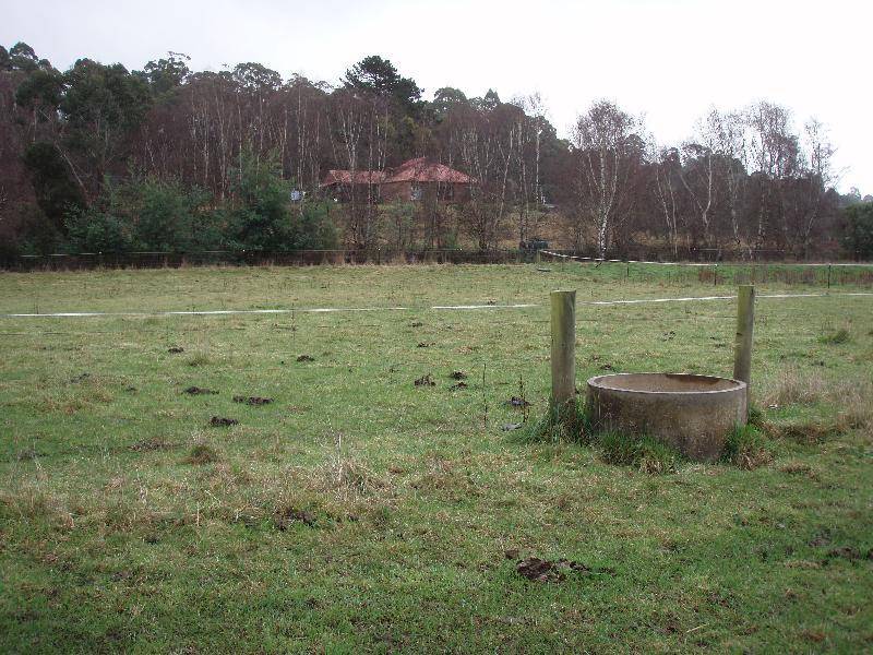 .. Wilmot Road, Forth TAS 7310