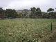 .. Wilmot Road, Forth TAS 7310