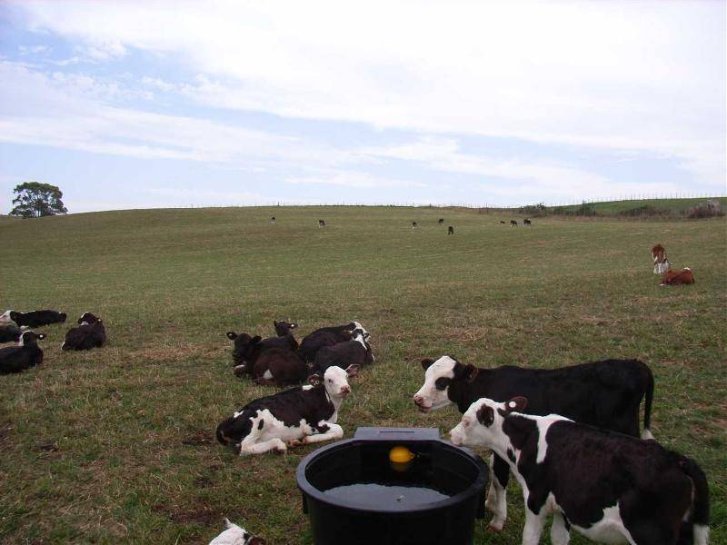 1648 Preston Road, Preston TAS 7315