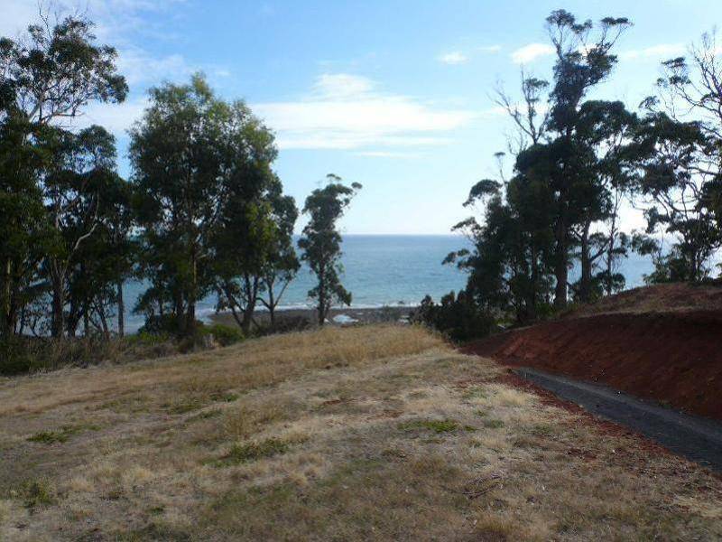 43 Hull Street, Leith TAS 7315