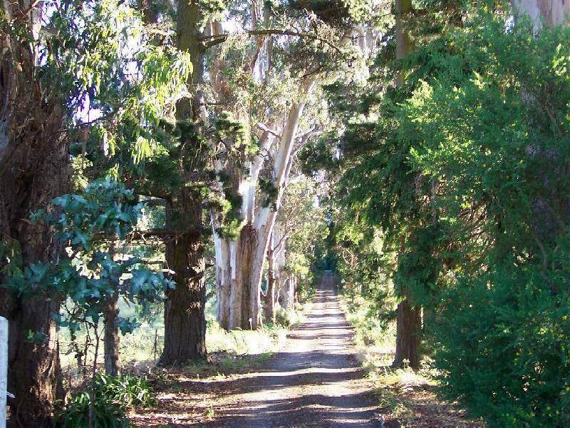 219 Pine Road, Penguin TAS 7316