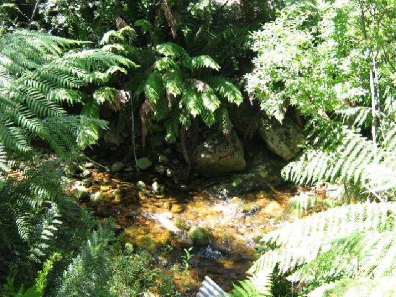 11 Mary Street, Queenstown TAS 7467