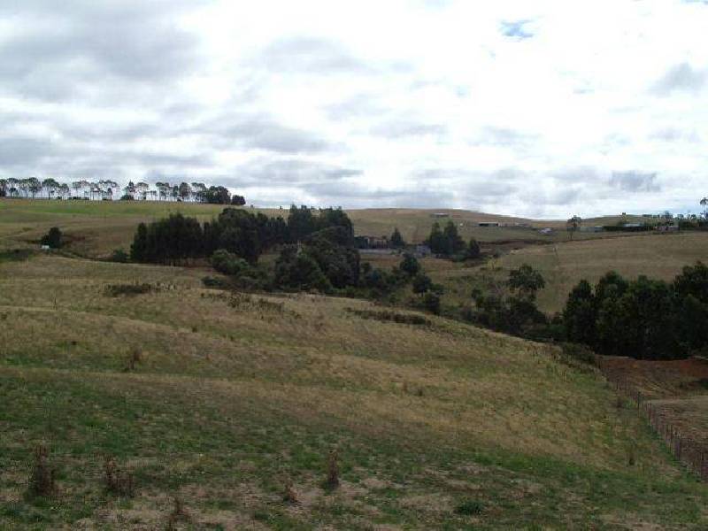 131 Camena Road, Natone TAS 7321