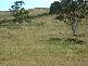 - Wyllies Road, Riana TAS 7316
