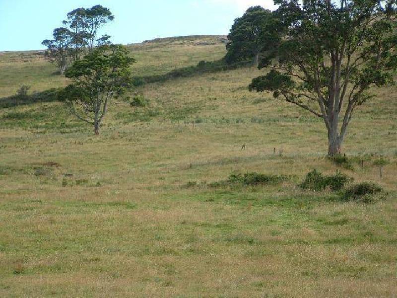 - Wyllies Road, Riana TAS 7316