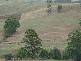281 Camena Road, Natone TAS 7321