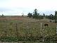 281 Camena Road, Natone TAS 7321