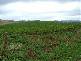 281 Camena Road, Natone TAS 7321
