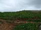 281 Camena Road, Natone TAS 7321