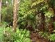 . Preolenna Road, Moorleah TAS 7325