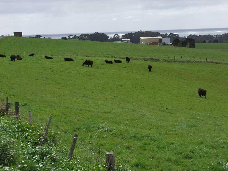 1546 Murchison Highway, Yolla TAS 7325