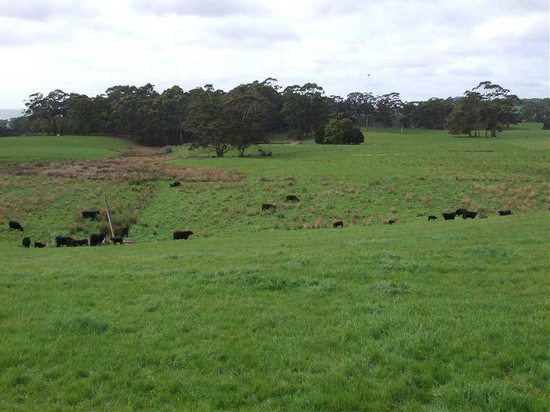 1546 Murchison Highway, Yolla TAS 7325