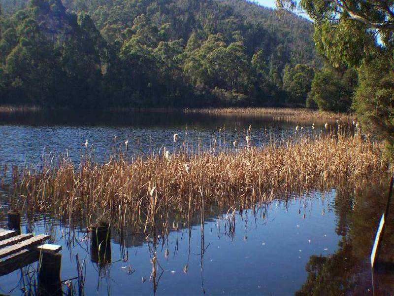 22 Tink Taylor Avenue, Sisters Beach TAS 7321