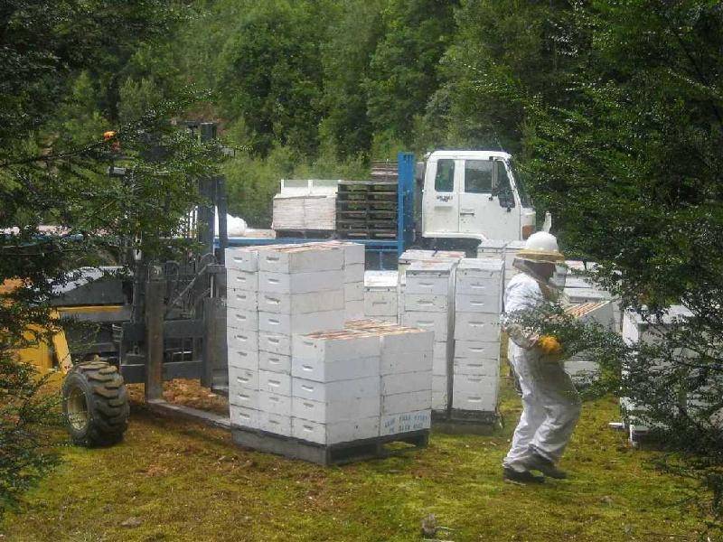 58 Mawbanna Road, Smithton TAS 7330