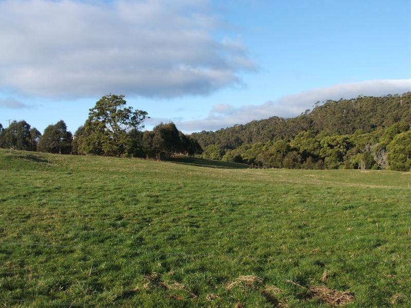 277 Maguires Road. Nabageena, Smithton TAS 7330 the real estate