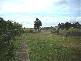 12 Main Street, Winnaleah TAS 7265