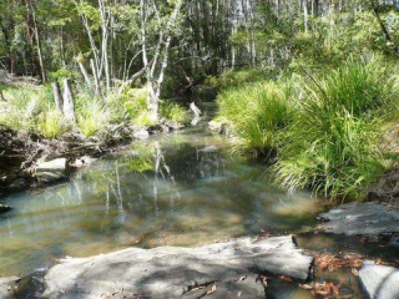 67 Mount Nathan Road, Mount Nathan QLD 4211