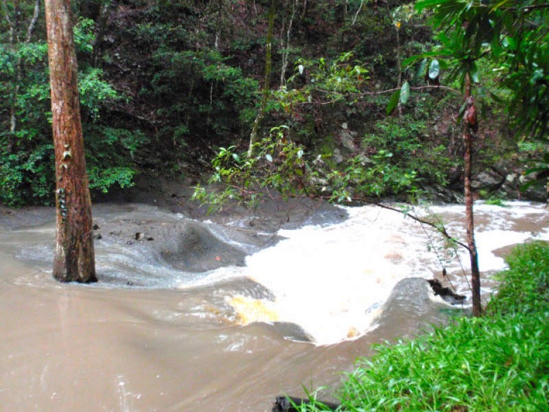 67 Mount Nathan Road, Mount Nathan QLD 4211