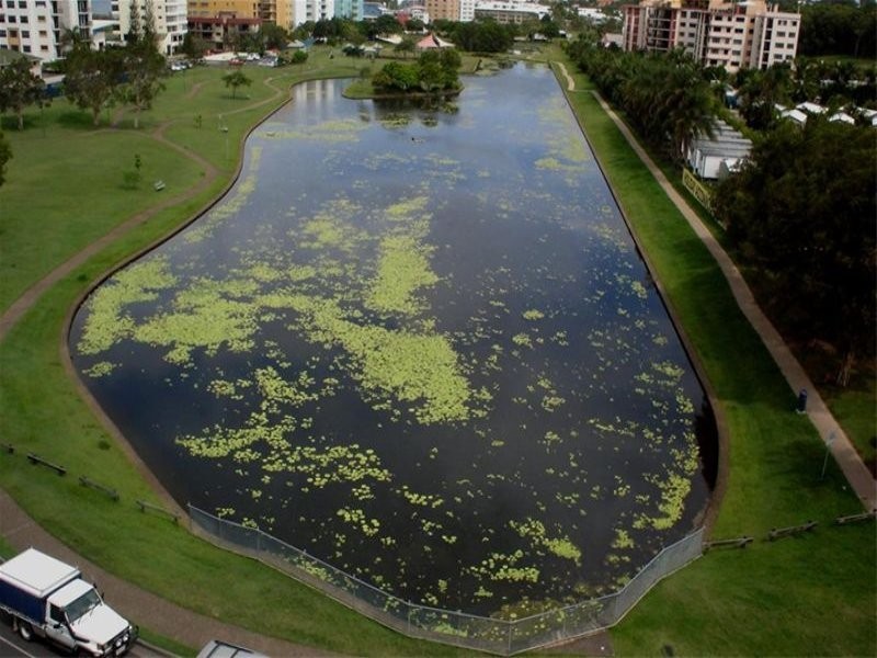 16 Okinja Road, Alexandra Headland QLD 4572