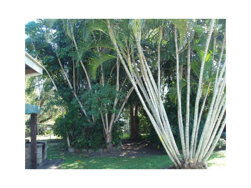 Maryborough QLD 4650