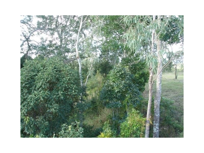 Tinana QLD 4650