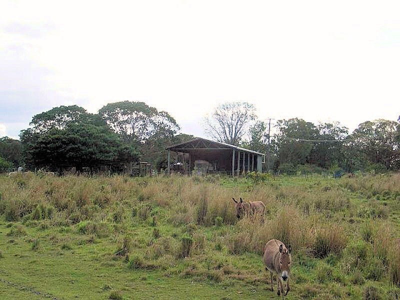 Tinana QLD 4650