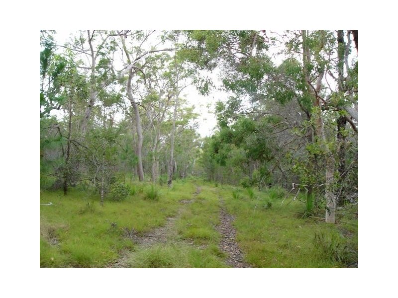 Tiaro QLD 4650