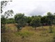 Pacific Haven QLD 4659