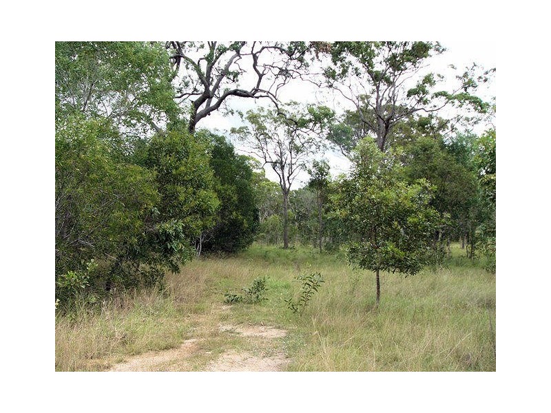Pacific Haven QLD 4659