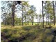 Tinana QLD 4650